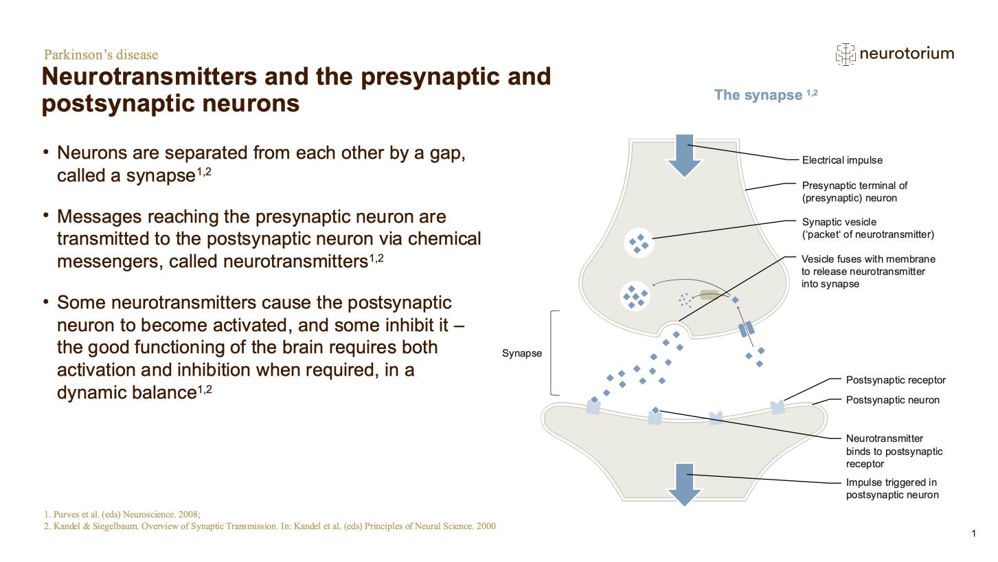 Parkinsons Disease – Neurobiology and Aetiology – slide 6